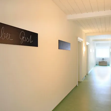 Haus Friederike - Sylvia Brunner Apartment Ellmau Exterior photo